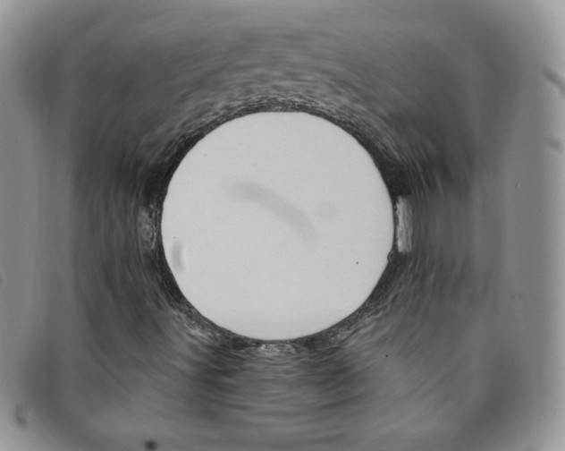 X0000095551491200801111442