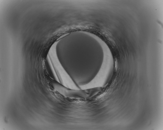 X0000095551492200801111442