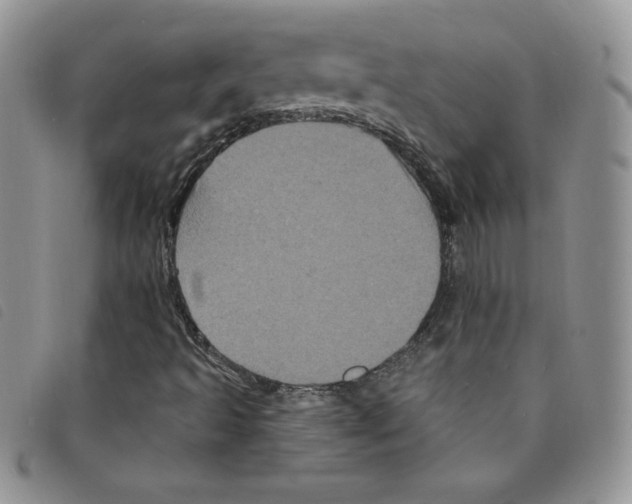 X0000095551493200801111442