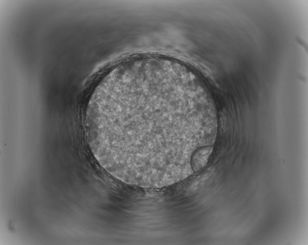 X0000095551494200801111442