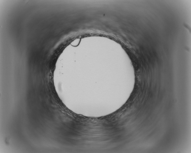 X0000095551495200801111442