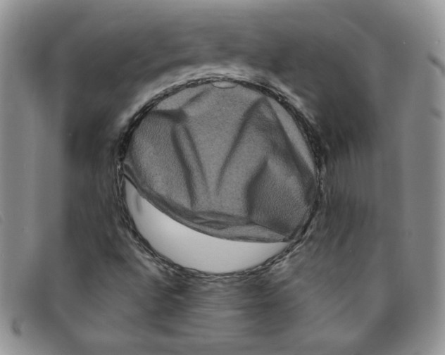 X0000095551496200801111442