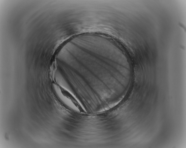 X0000095551497200801111442