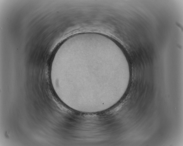 X0000095551498200801111442