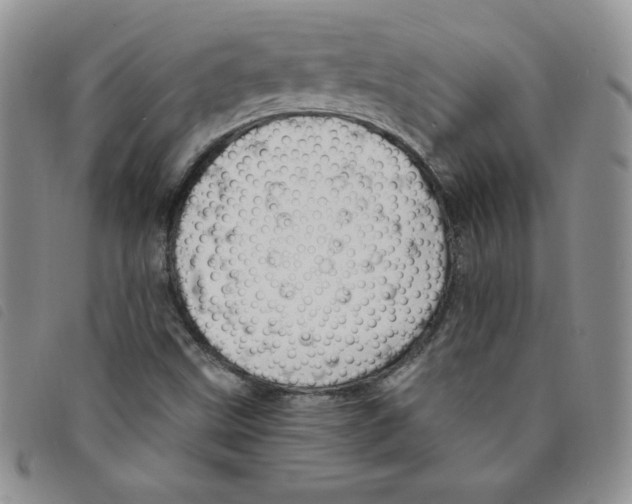 X0000095551499200801111442