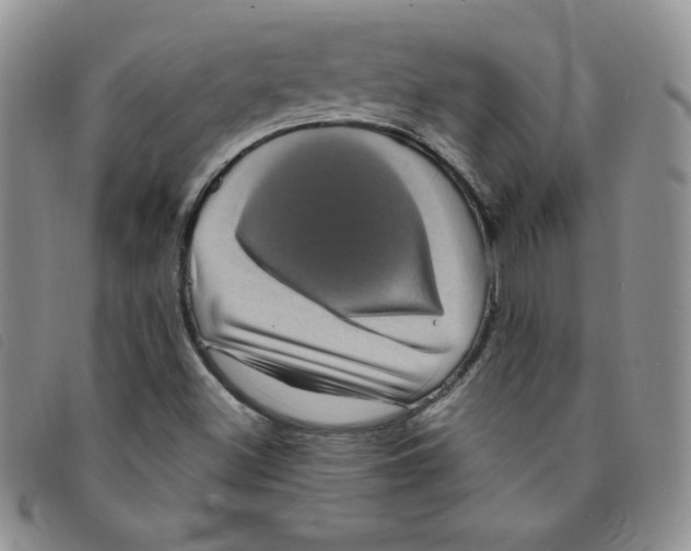 X0000095551500200801111442