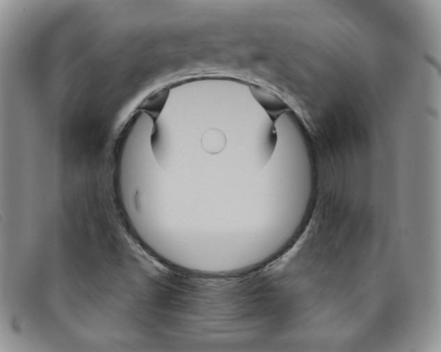 X0000095551502200801111442