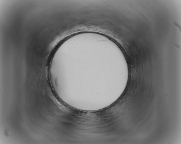 X0000095551503200801111442