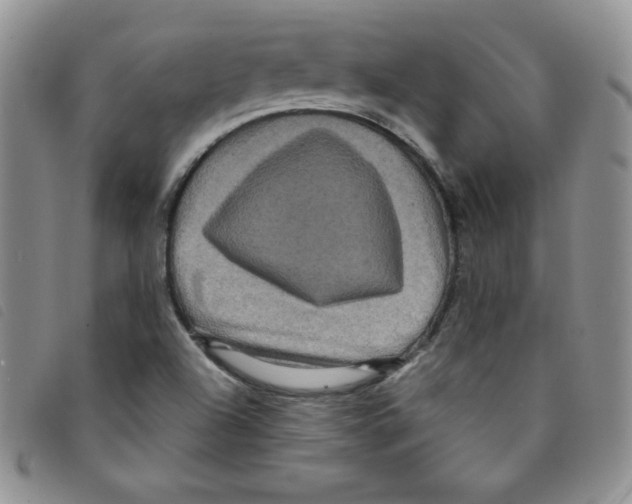 X0000095551504200801111442