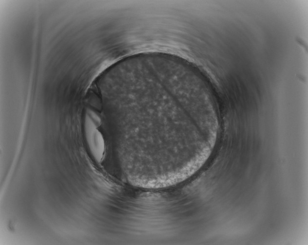 X0000095551505200801111442