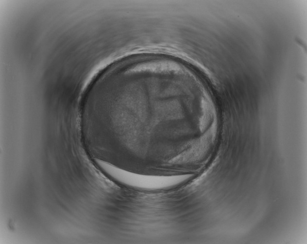 X0000095551506200801111442