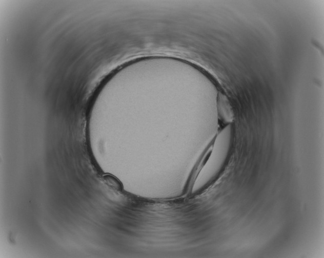 X0000095551507200801111442