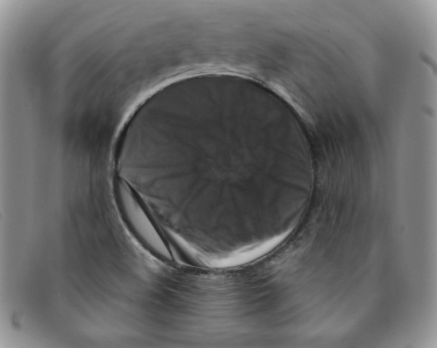 X0000095551508200801111442