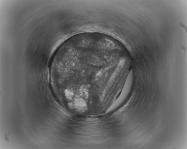 X0000095551509200801111442