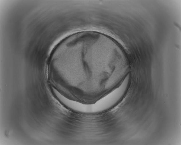 X0000095551510200801111442