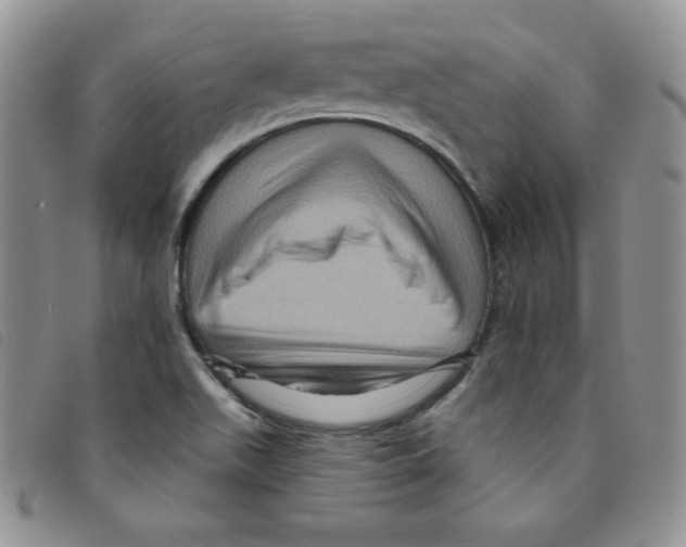 X0000095551511200801111442