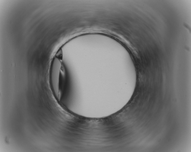 X0000095551512200801111442