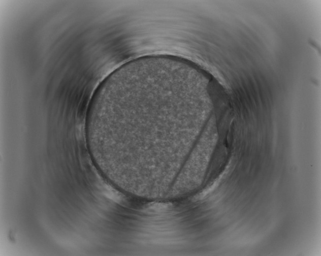 X0000095551513200801111442