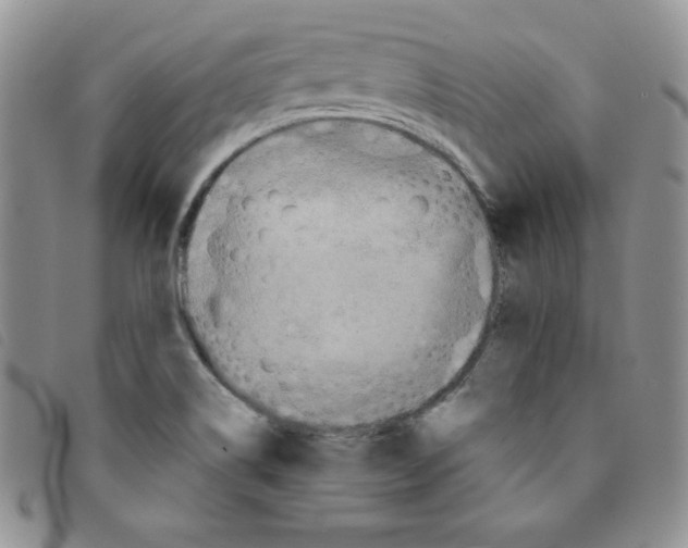 X0000095551514200801111442