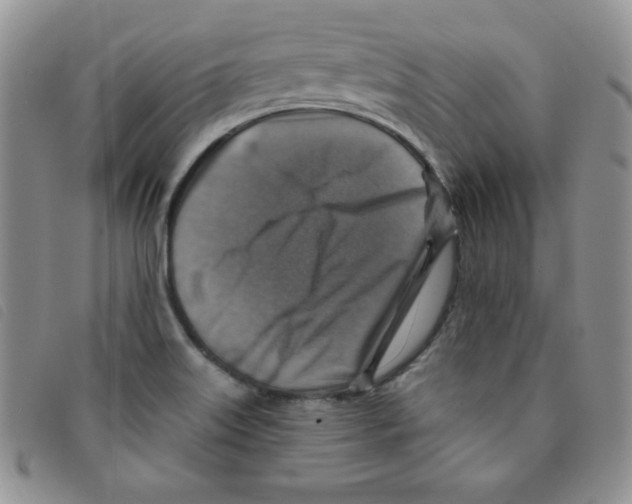 X0000095551515200801111442