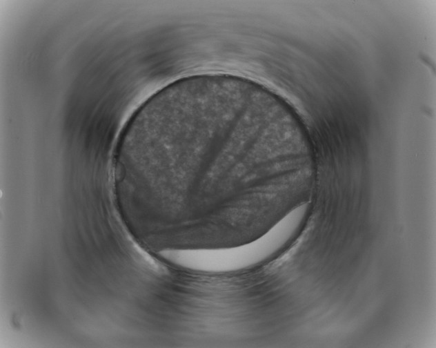 X0000095551517200801111442