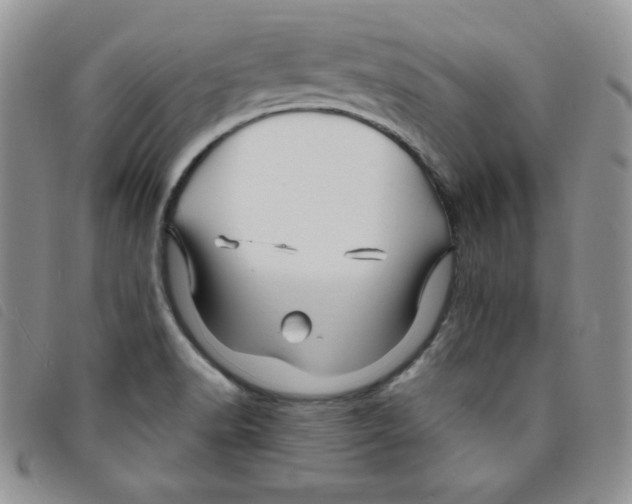 X0000095551518200801111442