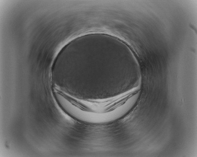 X0000095551519200801111442