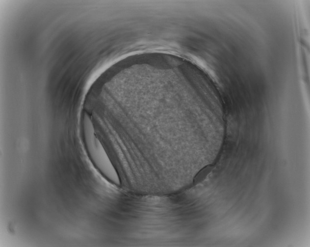 X0000095551520200801111442