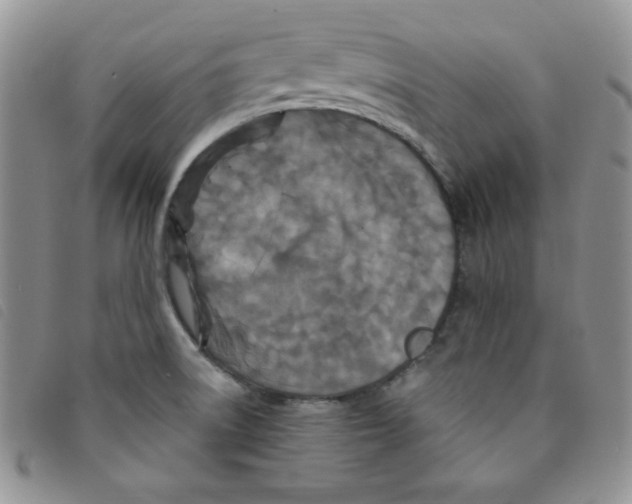 X0000095551522200801111442