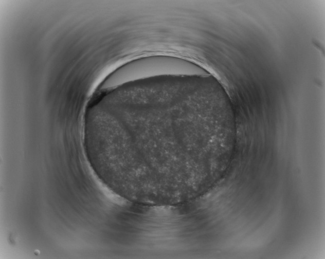 X0000095551523200801111442