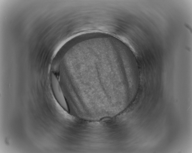 X0000095551524200801111442