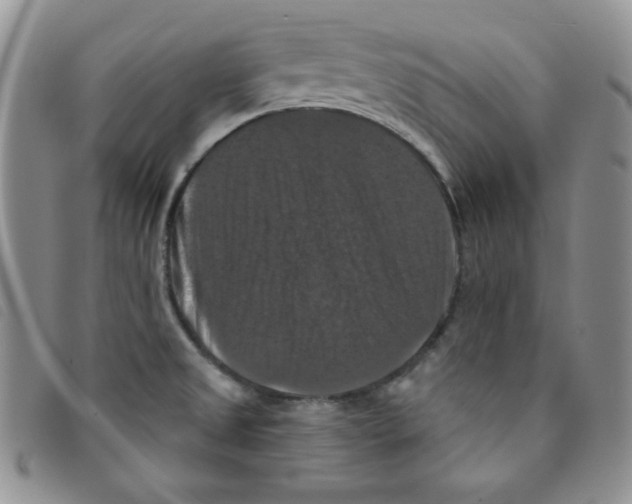 X0000095551525200801111442