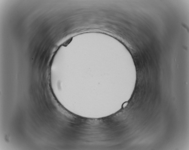 X0000095551526200801111442