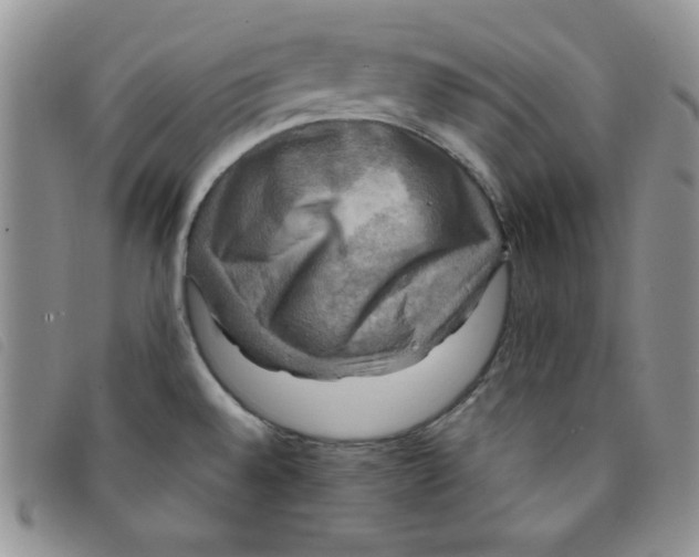 X0000095551528200801111442