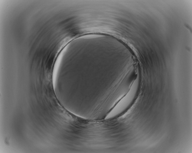 X0000095551529200801111442