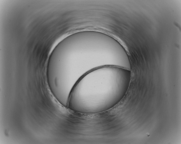 X0000095551530200801111442