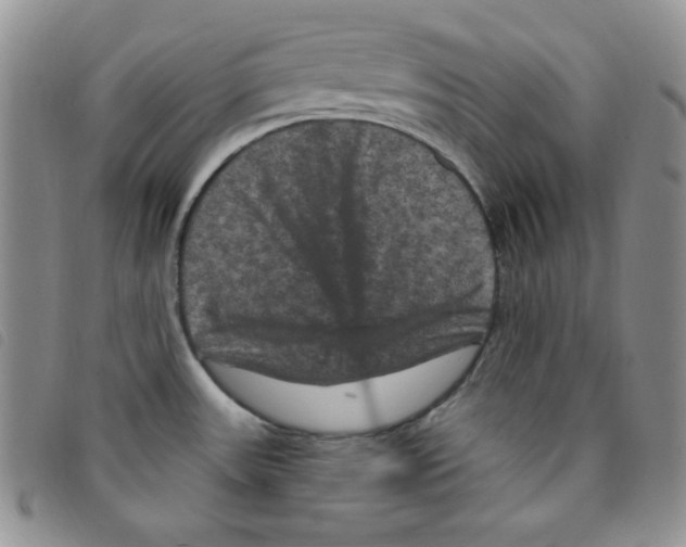 X0000095551531200801111442