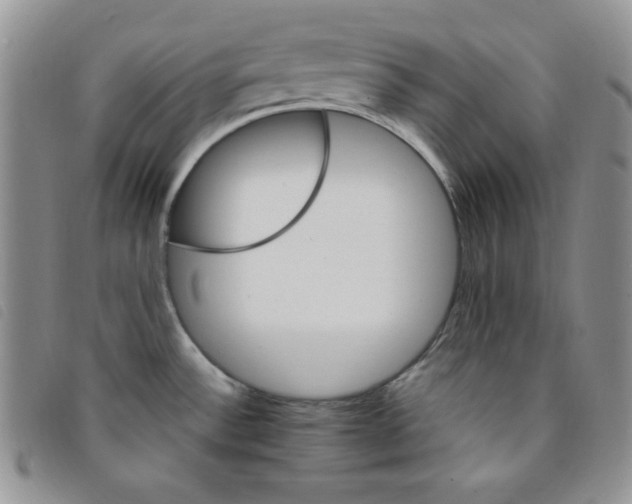 X0000095551532200801111442