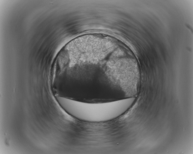 X0000095551533200801111442