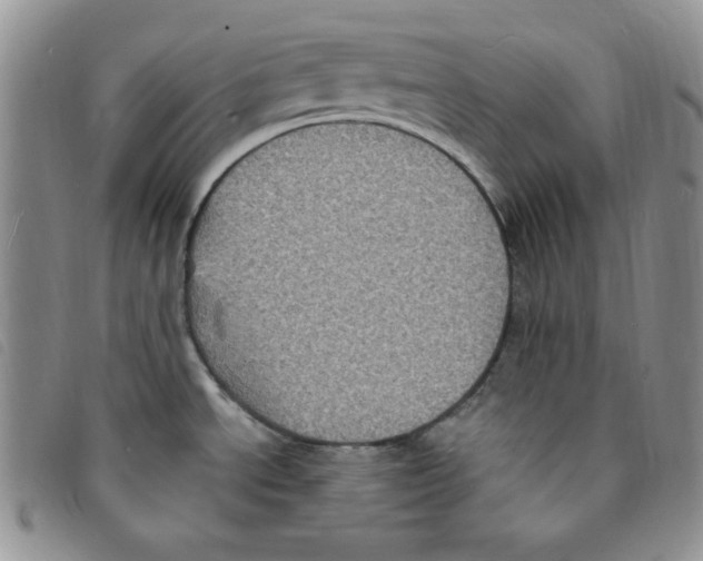 X0000095551534200801111442