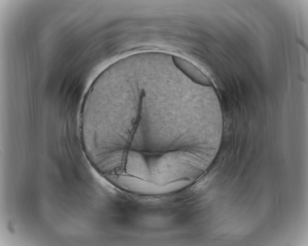 X0000095551535200801111442