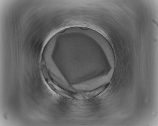 X0000095551536200801111442