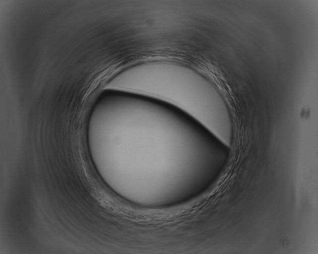 X0000095670001200801081050