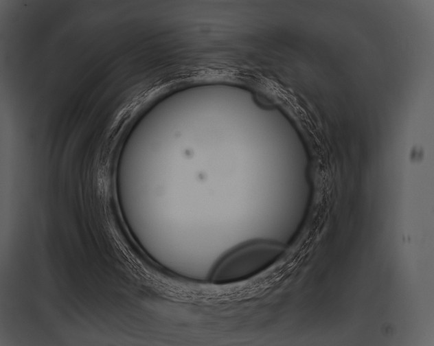 X0000095670002200801081050