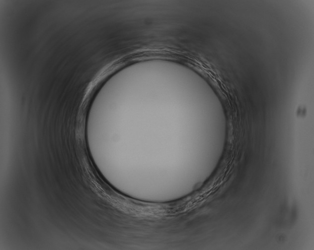 X0000095670004200801081050