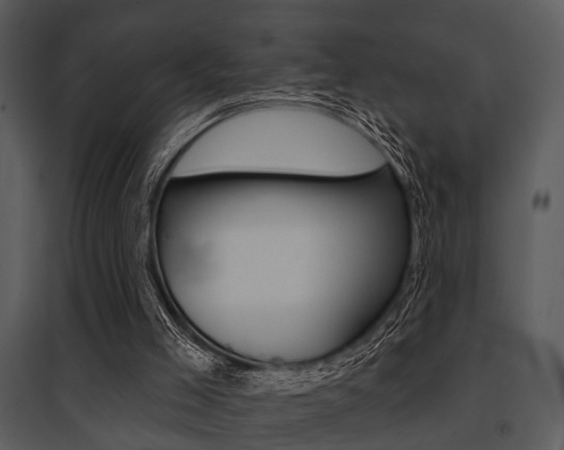 X0000095670005200801081050