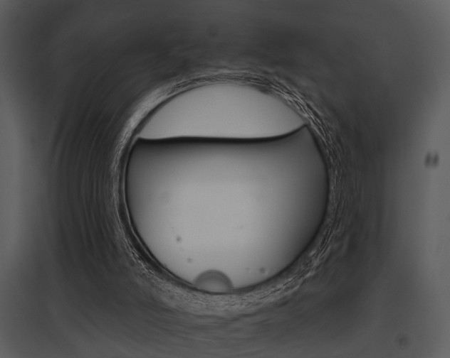 X0000095670006200801081050