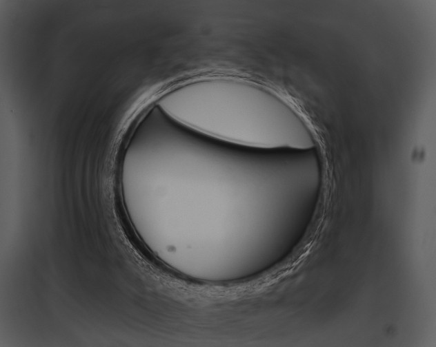 X0000095670007200801081050