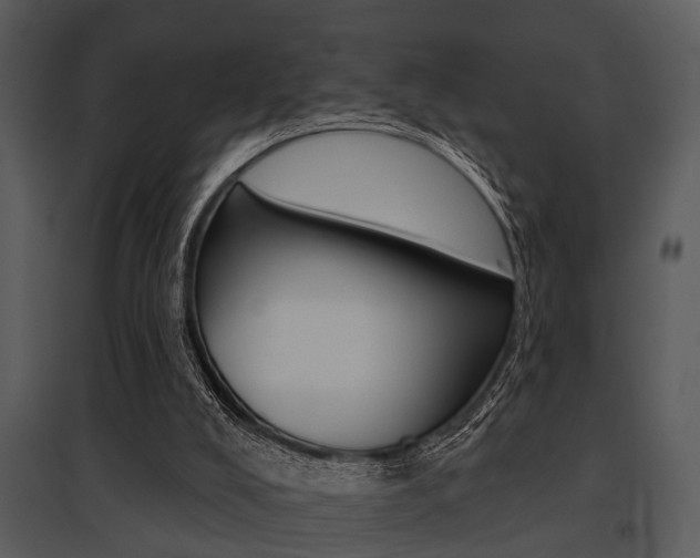 X0000095670008200801081050