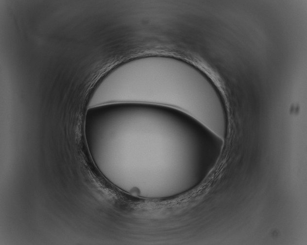 X0000095670009200801081050